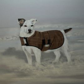 Jack Russel Commission