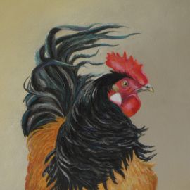 Ruffled Feathers