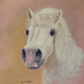 Cheeky Pony