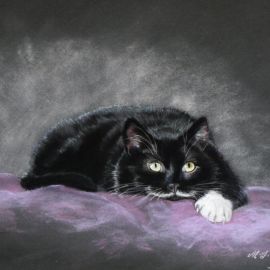 Caught on the Bed Again!