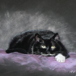 Caught on the Bed Again!